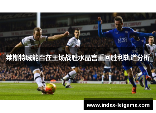 莱斯特城能否在主场战胜水晶宫重回胜利轨道分析