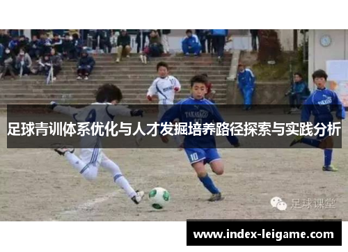 足球青训体系优化与人才发掘培养路径探索与实践分析 足球青训体系优化与人才发掘培养路径探索与实践分析