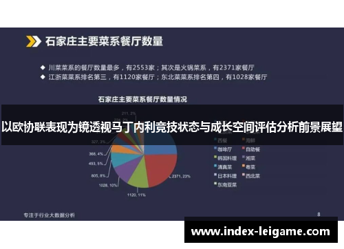 以欧协联表现为镜透视马丁内利竞技状态与成长空间评估分析前景展望 以欧协联表现为镜透视马丁内利竞技状态与成长空间评估分析前景展望