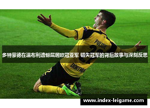 多特蒙德在温布利遗憾屈居欧冠亚军 错失冠军的背后故事与深刻反思