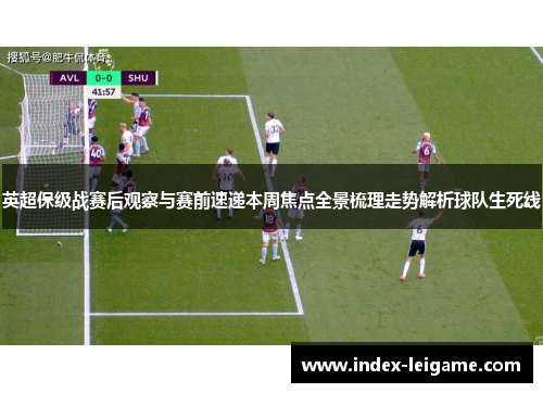 英超保级战赛后观察与赛前速递本周焦点全景梳理走势解析球队生死线 英超保级战赛后观察与赛前速递本周焦点全景梳理走势解析球队生死线