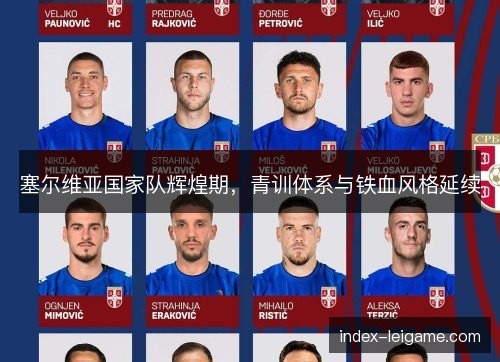 塞尔维亚国家队辉煌期，青训体系与铁血风格延续