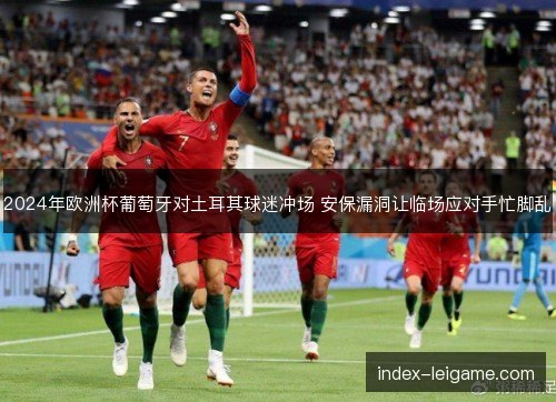 2024年欧洲杯葡萄牙对土耳其球迷冲场 安保漏洞让临场应对手忙脚乱